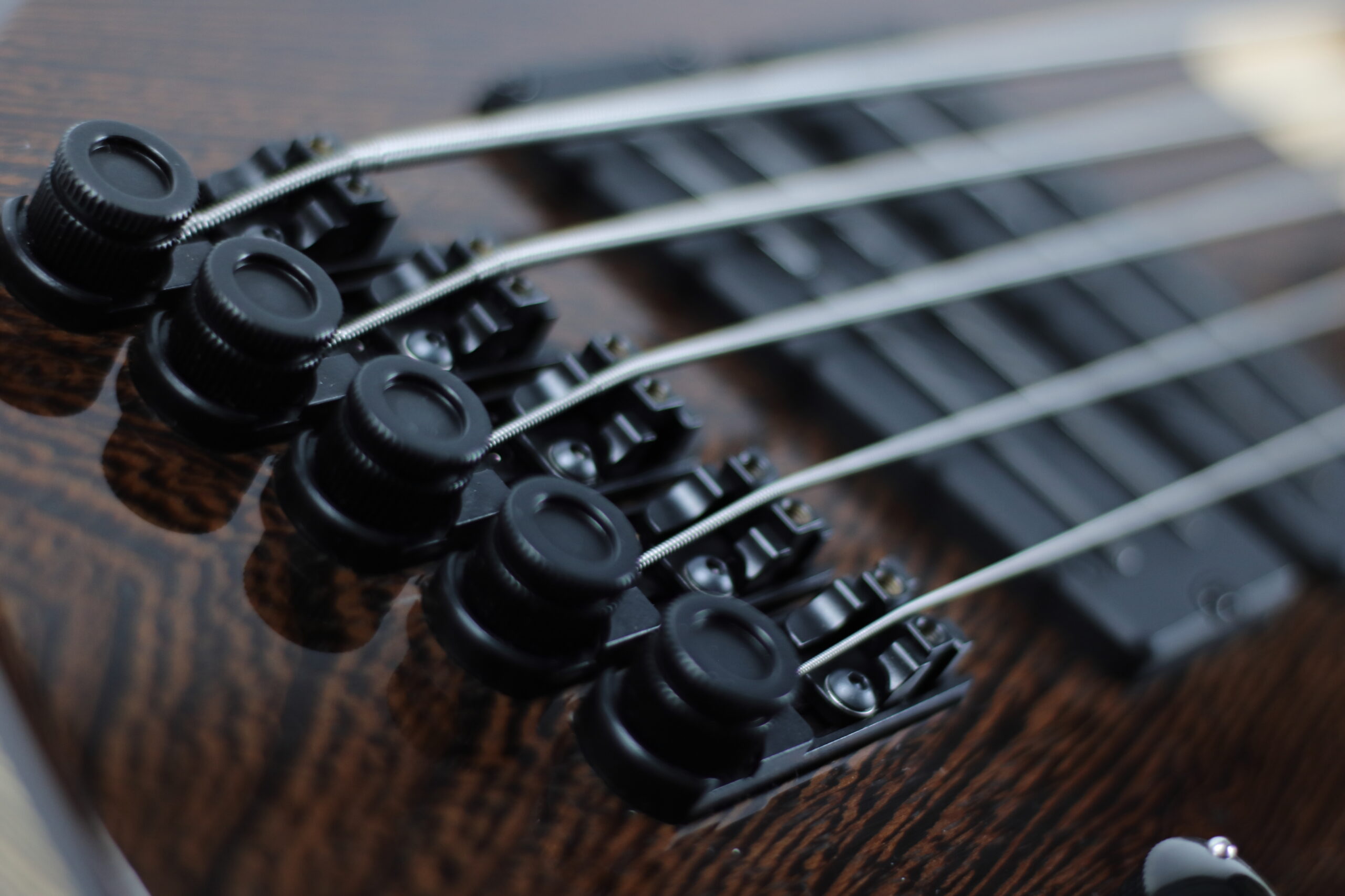 Constance B5 Fretless Neck Closeup