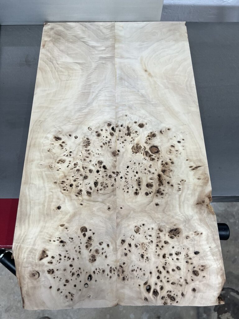 Poplar Burl