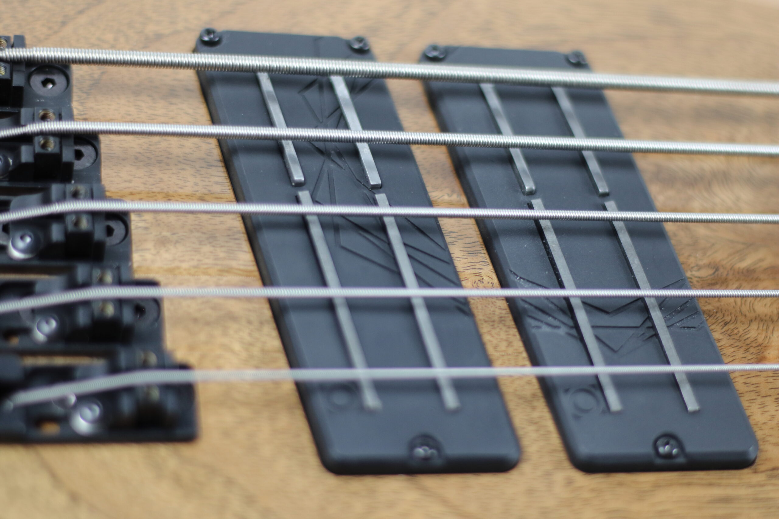 Constance B5 Fretless pickups Closeup